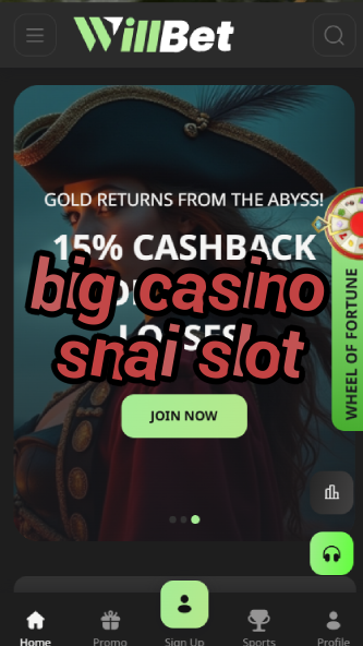 big casino snai slot-asdasdzhjkds.com