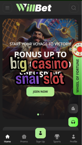big casino snai slot-asdasdzhjkds.com
