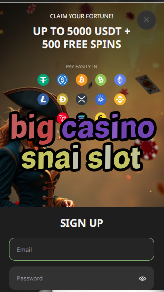 big casino snai slot-asdasdzhjkds.com